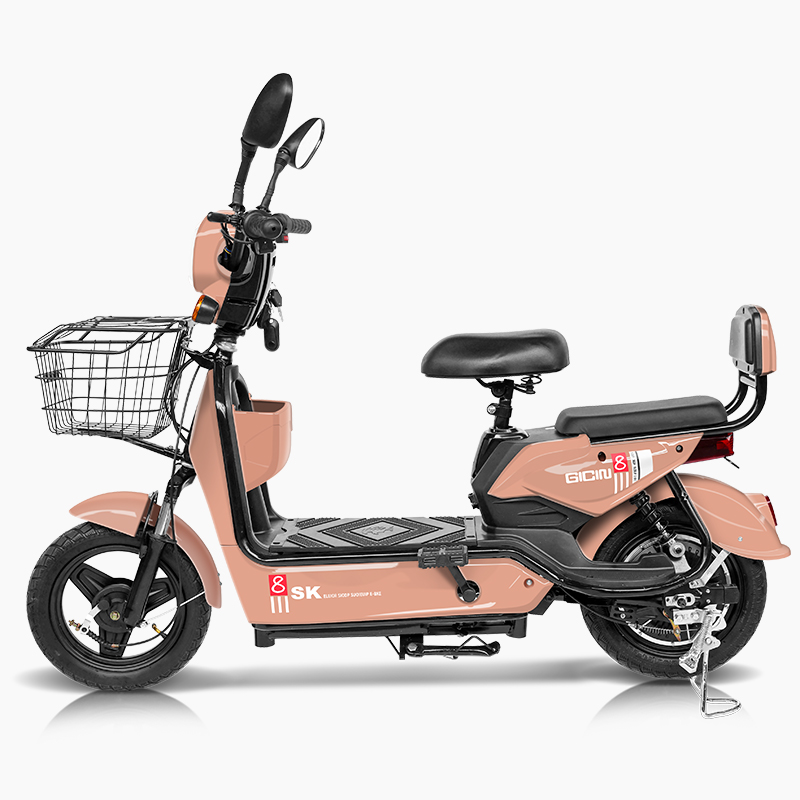 Motocicleta Eléctrica Kelansin - Dual Motor Electric Motorcycle Frame reseña y precio